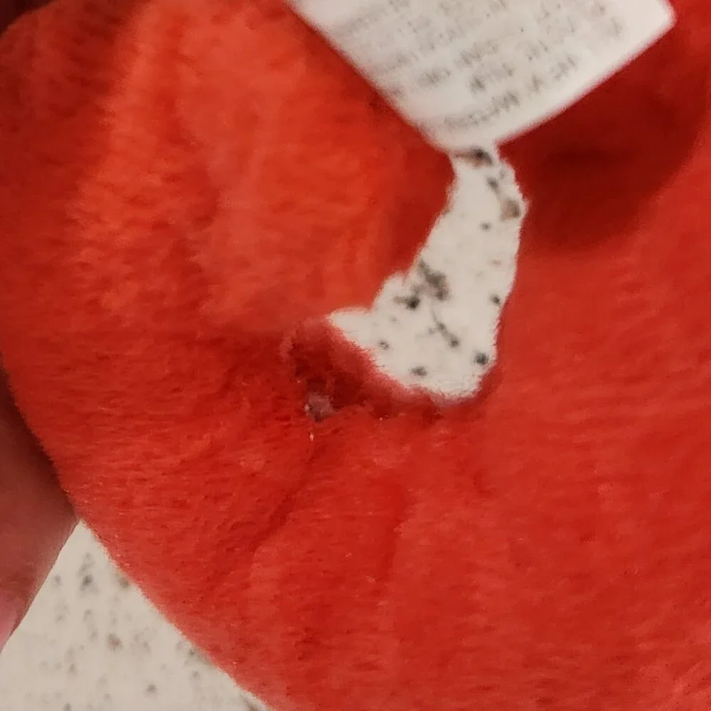 Bark Volana Iguana Madagascar Squeaky Crinkle Dog Toy sz M?